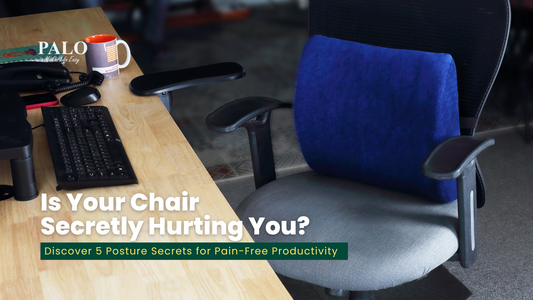 Back Pain at the Desk? 5 Surprising Facts About Posture Support You Didn't Know